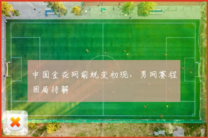中国金花网前蜕变初现，男网赛程困局待解