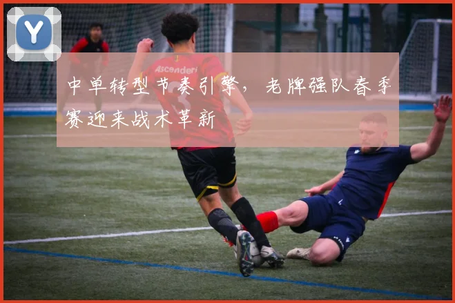 中单转型节奏引擎，老牌强队春季赛迎来战术革新