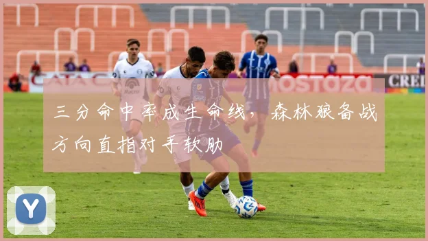 三分命中率成生命线，森林狼备战方向直指对手软肋