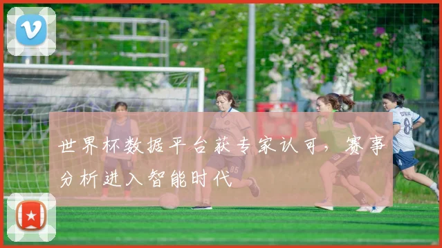 世界杯数据平台获专家认可，赛事分析进入智能时代
